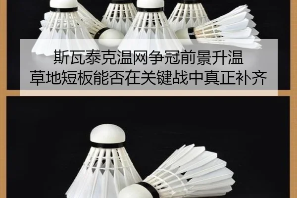斯瓦泰克温网争冠前景升温 草地短板能否在关键战中真正补齐